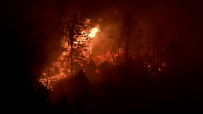 Nova: Inside the Megafire