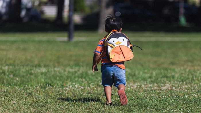 Evacuation Warning, Evacuation Order, or Shelter in Place - What's the Difference?